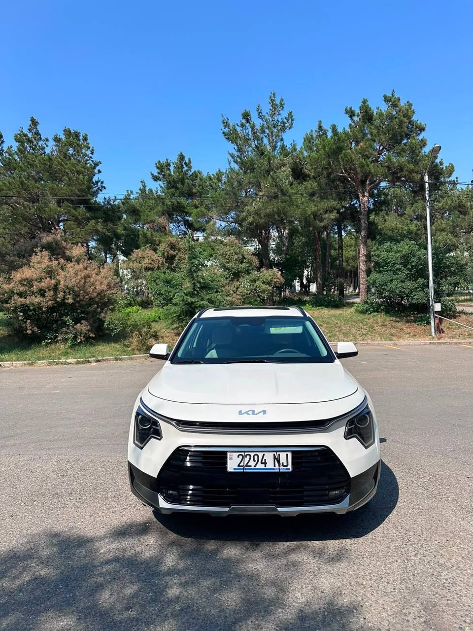 Kia Niro EX, 2023 г.