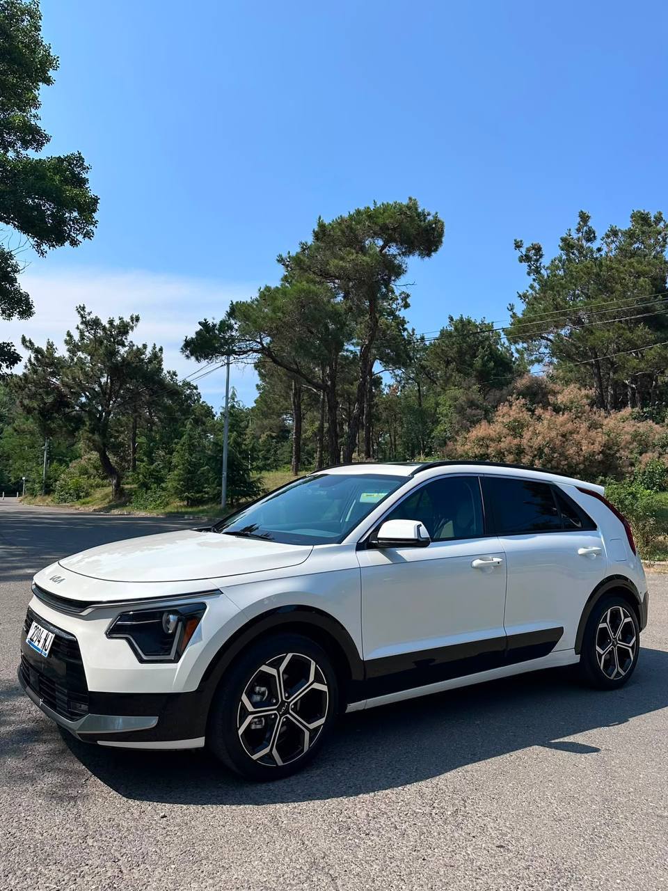 Kia Niro EX, 2023 г.