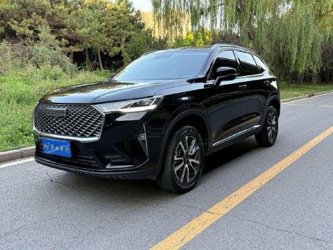 Haval H6 2024 из Китая - фото автомобиля из карточки компании